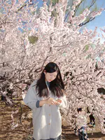 Qingquan Cheng