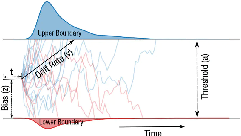 dockerHDDM: A User-Friendly Environment for Bayesian Hierarchical Drift-Diffusion Modeling